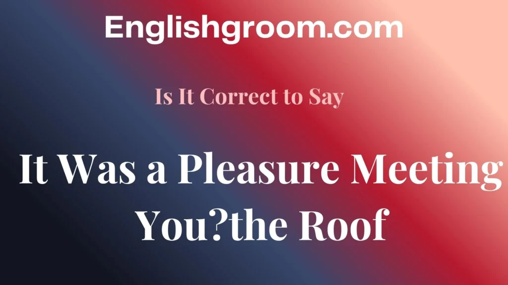 It Was a Pleasure Meeting You?