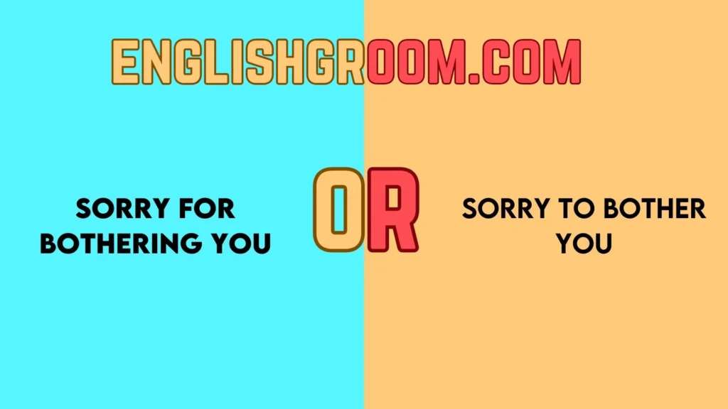 Sorry for Bothering You vs Sorry to Bother You