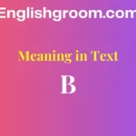 B Meaning in Text