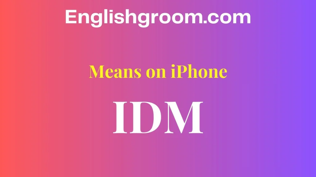 IDM Meaning in Text