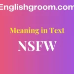 NSFW Meaning in Text