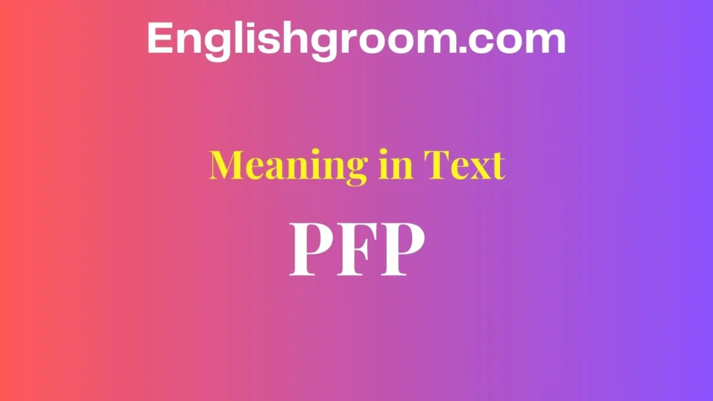 PFP Meaning in Text