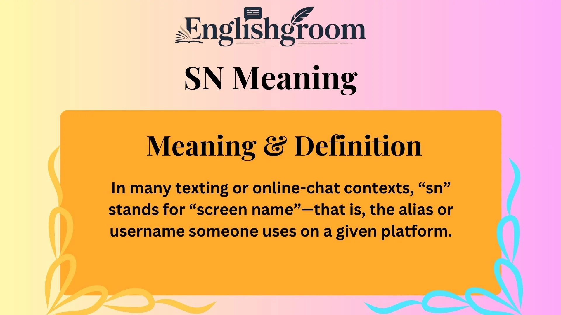 sn meaning and definition