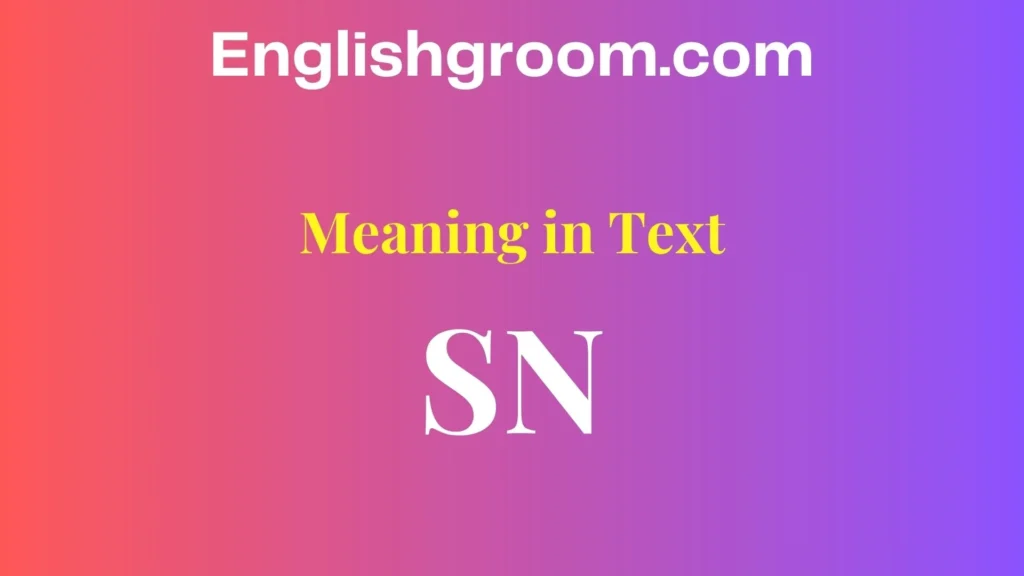 sn meaning in text
