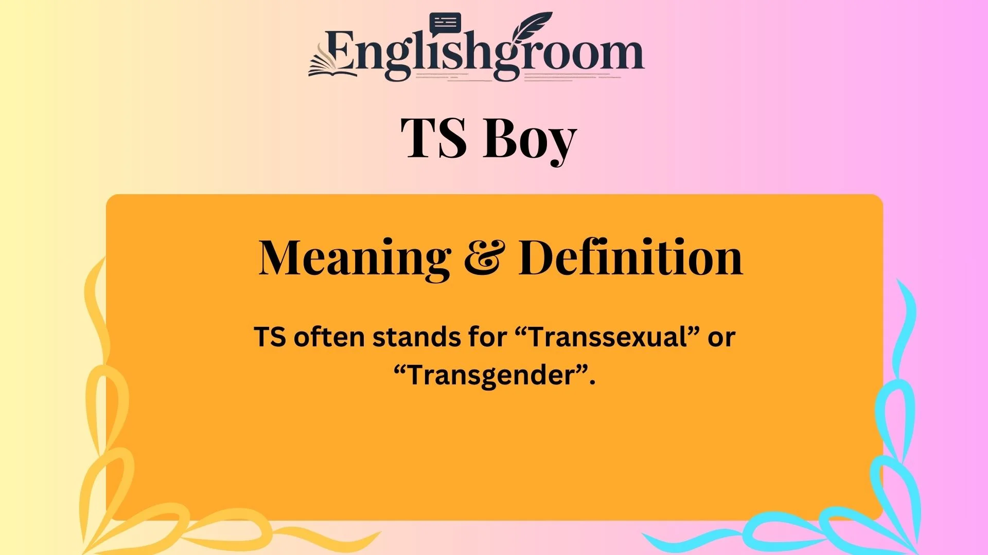 TS Meaning & Definition