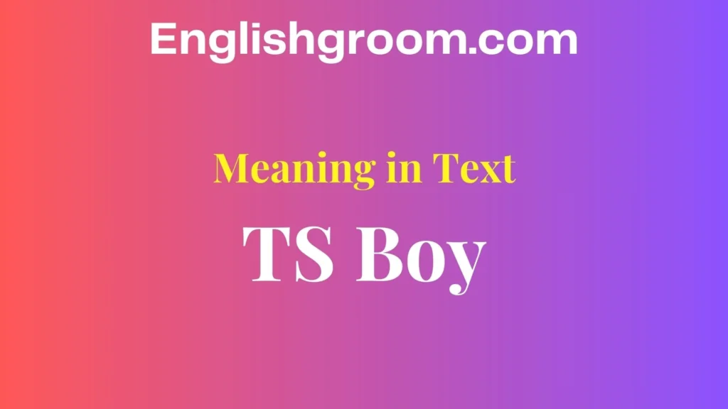 TS Boy Text Meaning