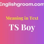 TS Boy Text Meaning