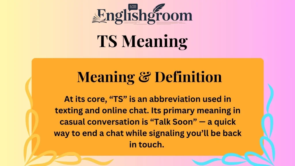 TS Meaning