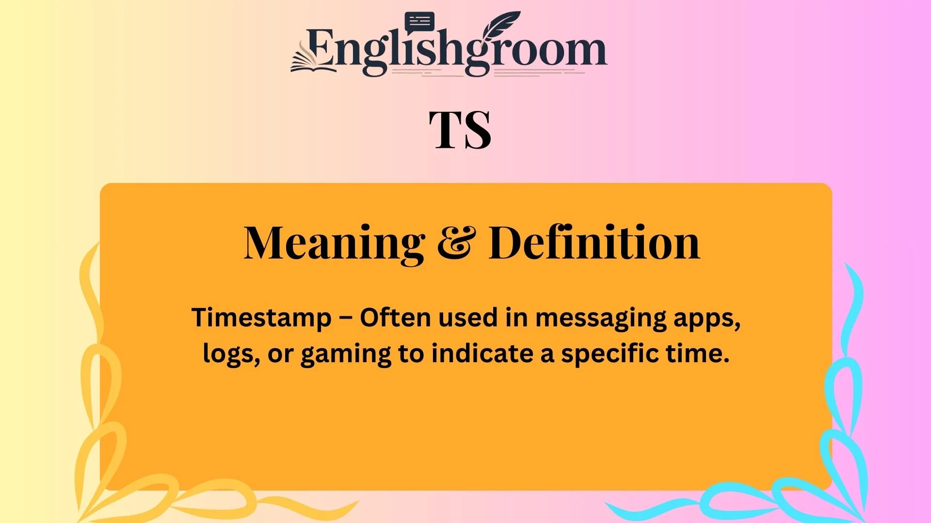 TS Meaning & Definition