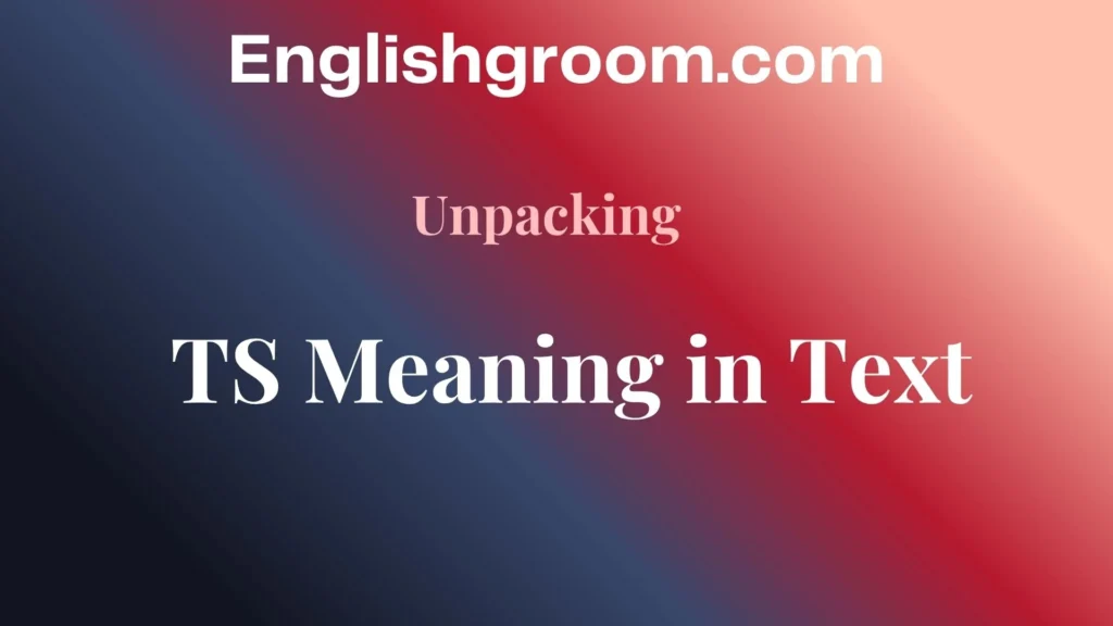 TS Meaning in Text