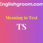 TS Stand For in Text