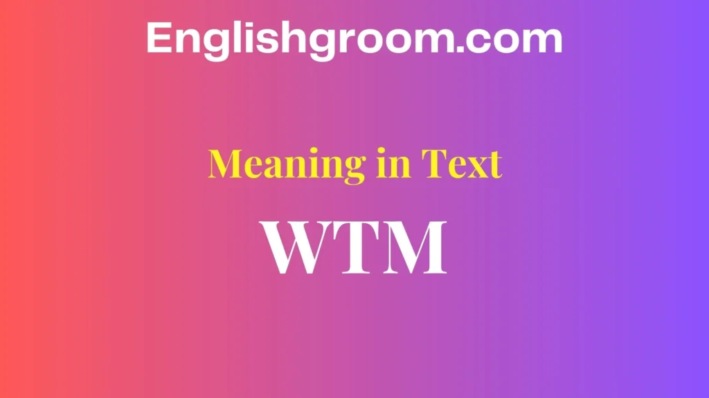 WTM Meaning in Text