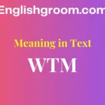 WTM Meaning in Text