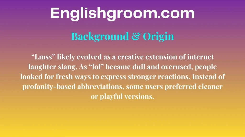 LMSS Background & Origin
