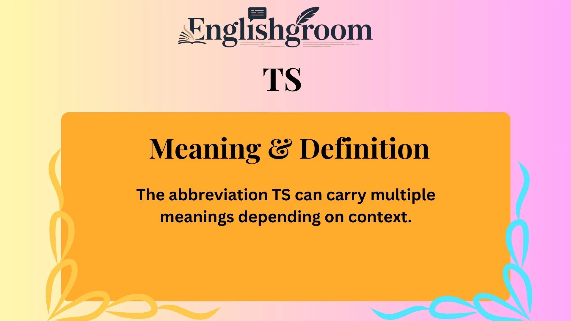 TS Meaning &amp; Definition