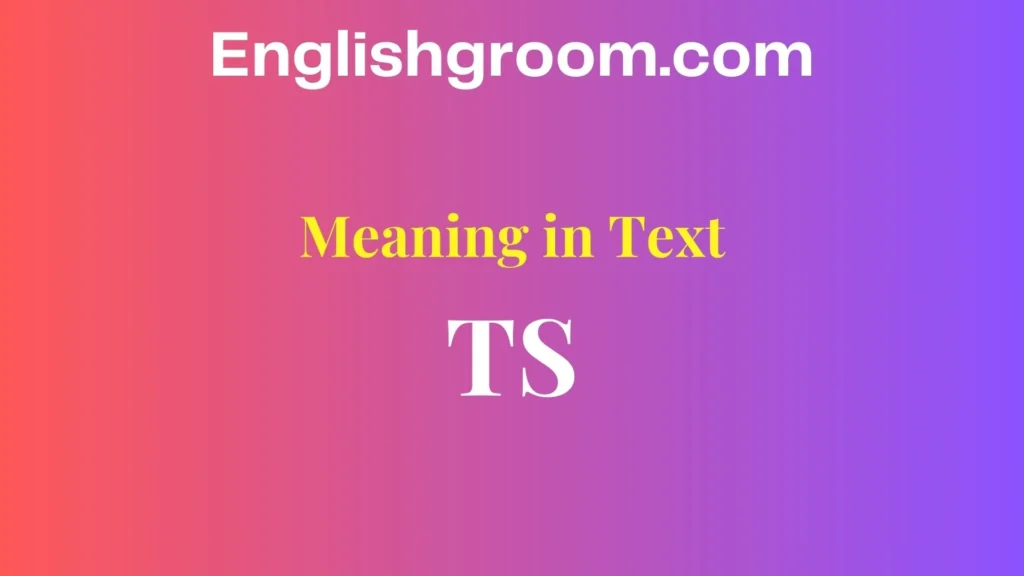 TS Meaning in Text