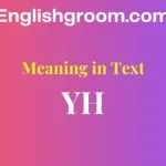 YH Meaning in Text